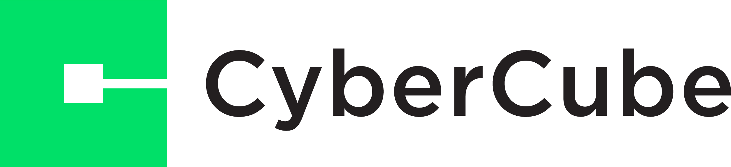 CyberCube Logo